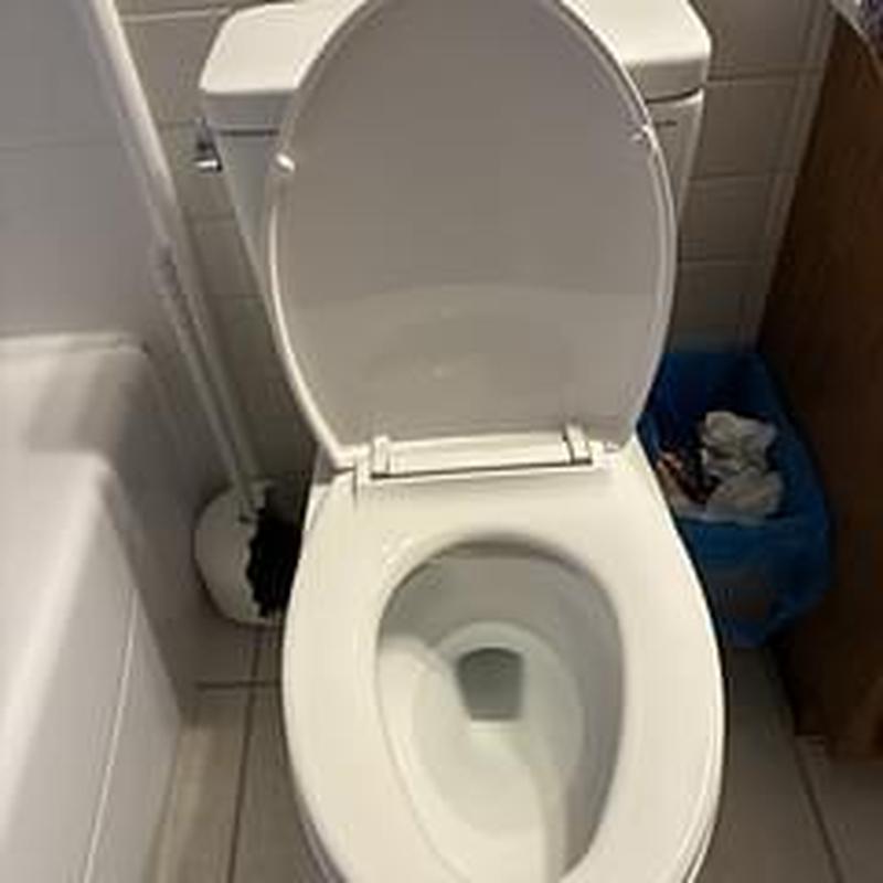Toto Drake ADA elongated bowl toilet installation