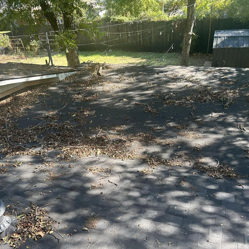 Roof shingles with accumulated leaves and debris