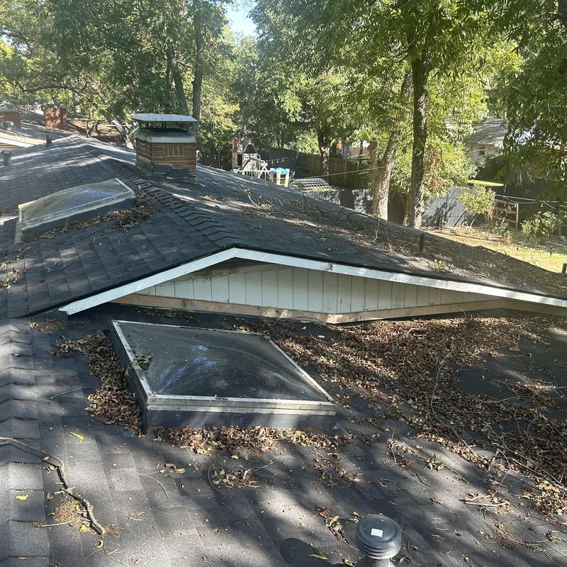 Roof shingles and skylights covered with fallen leaves