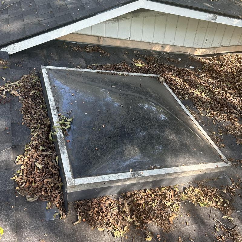Skylight with leaf buildup on shingled roof