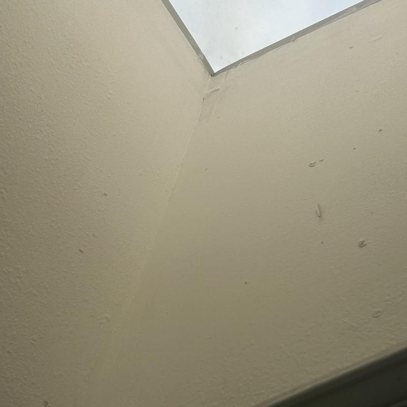 Chimney base interior wall water damage and cracks