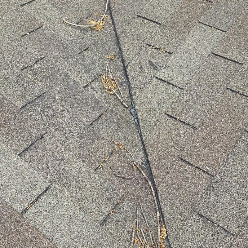 Asphalt shingle roof with hail and debris damage
