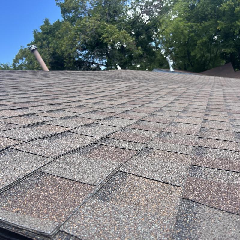 Asphalt shingle roof close-up with trees in background