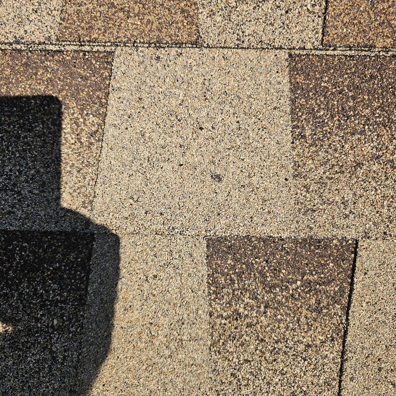 Asphalt roof shingles with hail damage in Terrell, TX