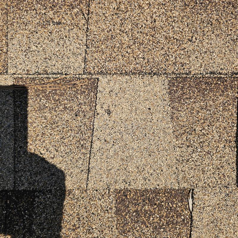 Asphalt roof shingles with hail damage and granule loss