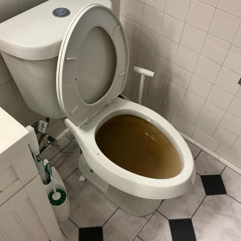 Toilet bowl with brown stagnant water in bathroom Toilet bowl with brown stagnant water in bathroom