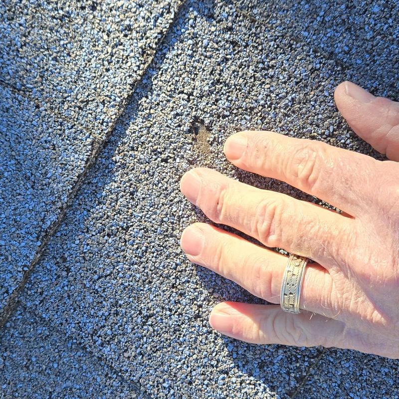 Asphalt shingles with hail damage and hand for scale