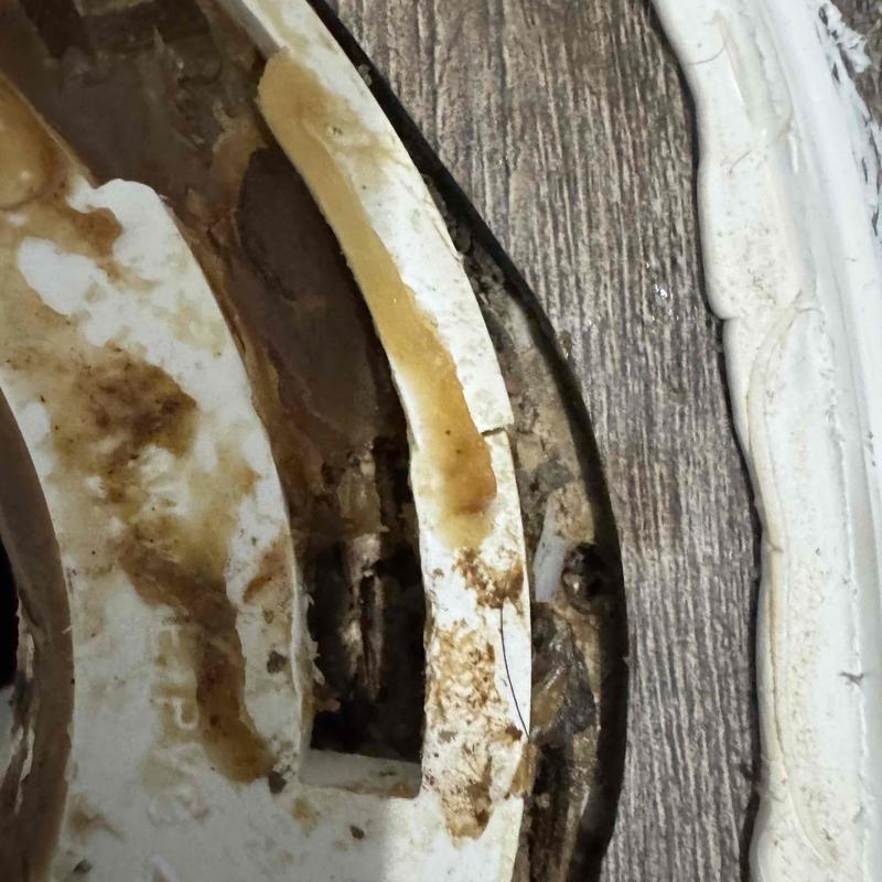 Toilet flange damaged with surrounding flooring decay
