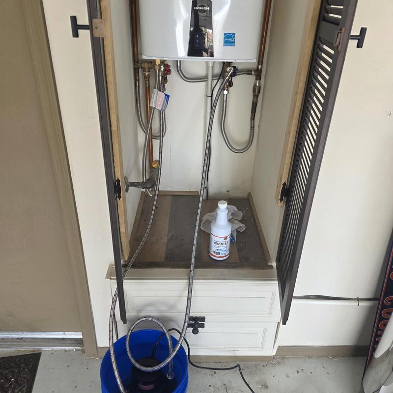 Tankless water heater with descaling solution flush