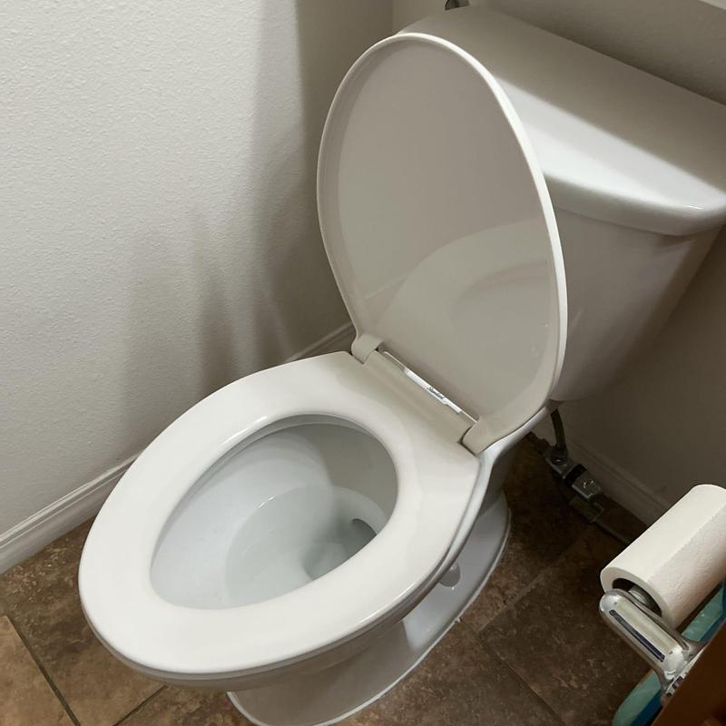 Elongated toilet with new wax ring installed