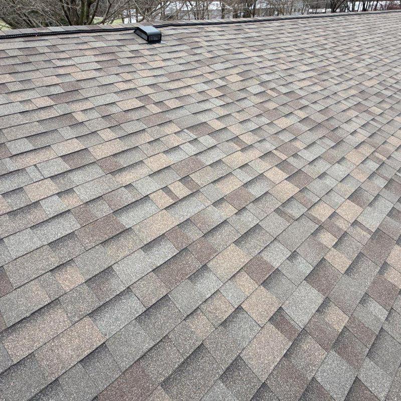 Malarkey Vista architectural shingles on roof