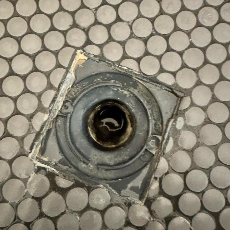 Shower drain with tile floor and removed cover Shower drain with tile floor and removed cover