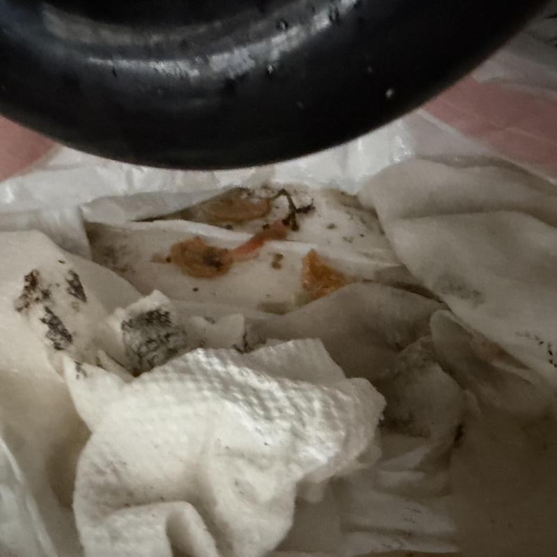 Kitchen sink drain debris on cleaning rags