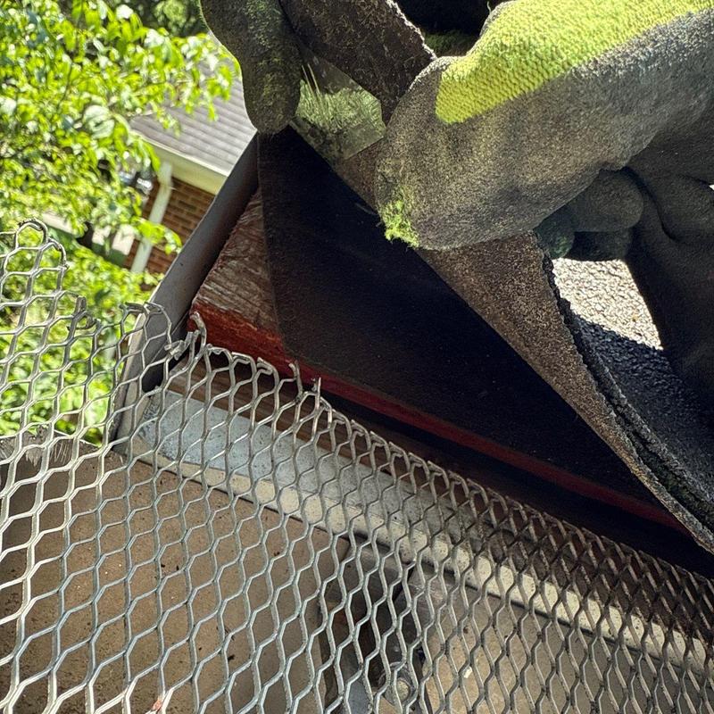 Roof shingles and metal flashing installation with protective mesh