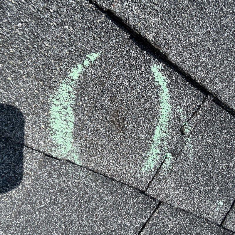 Roof shingle hail damage marked with chalk circle