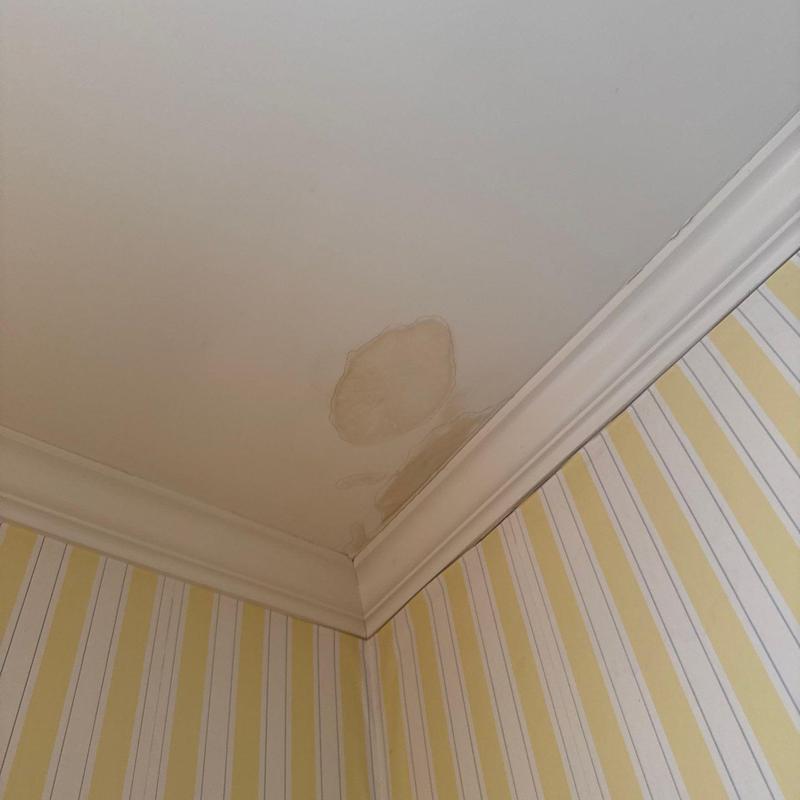 Ceiling water stain near crown molding and wallpaper