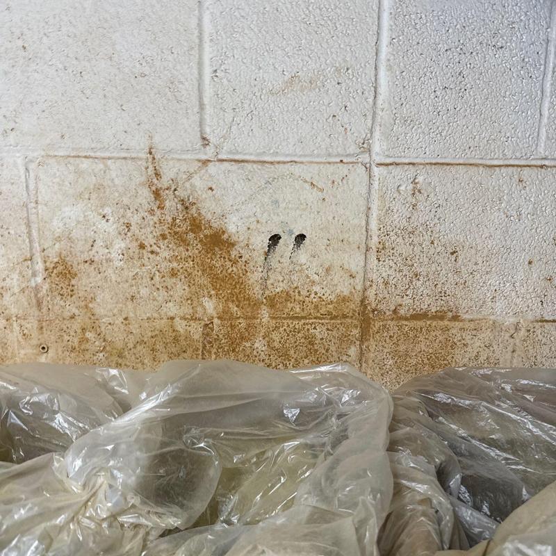Concrete block wall with extensive mold and rust stains