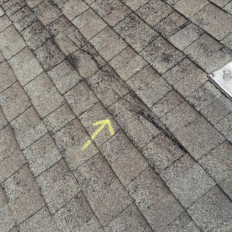 Shingles with hail damage marked by yellow arrow