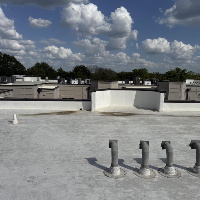 Flat roof membrane with vent pipes and moisture stains