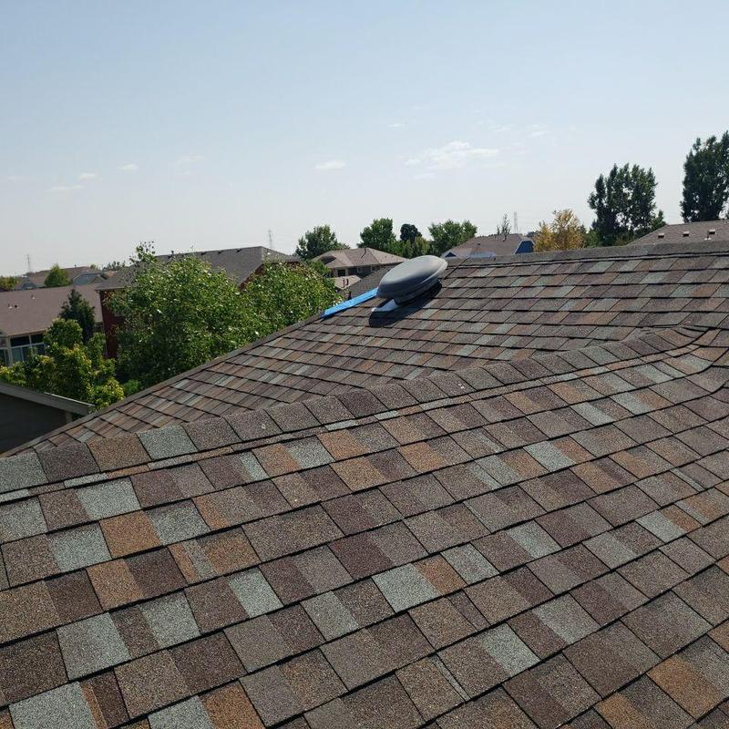 Shingle roof with ridge and hail damage inspection