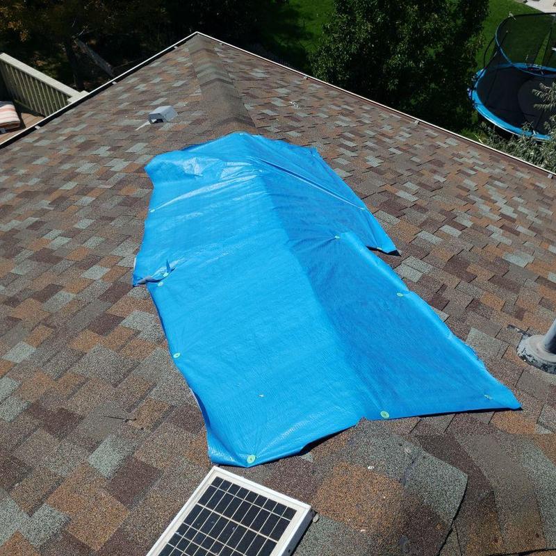 Shingle roof ridge with protective blue tarp covering damage