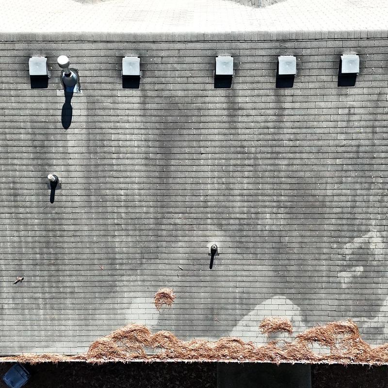 Roof shingles with ventilation caps and debris buildup