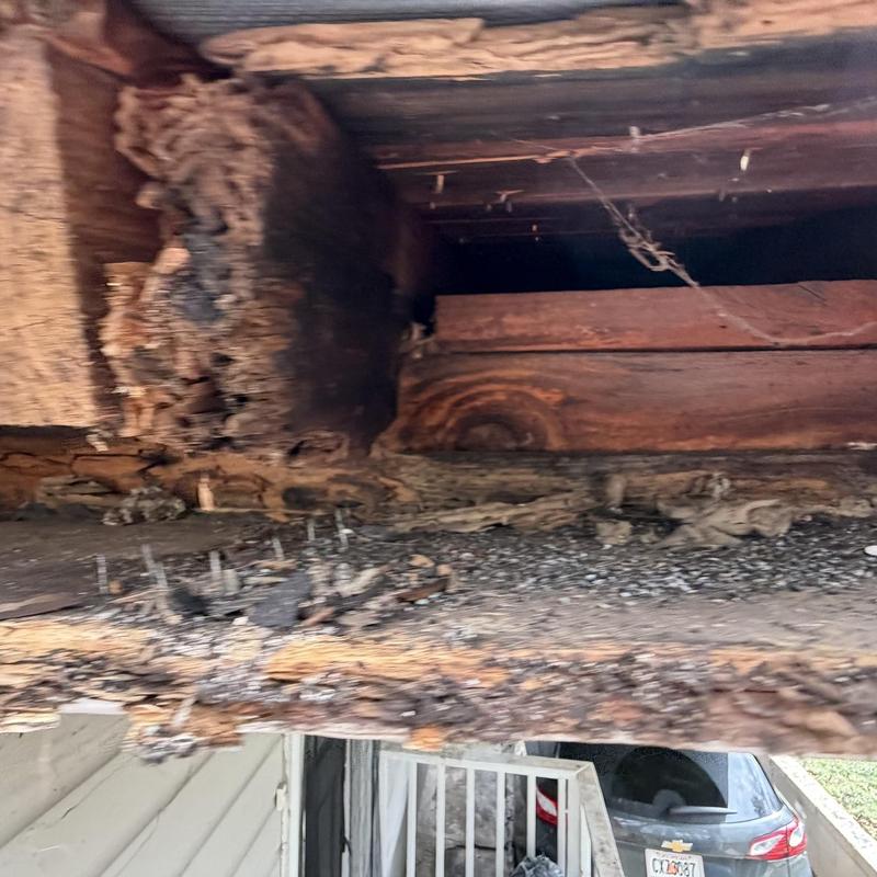 Damaged wood framing in roof structure with rot and debris