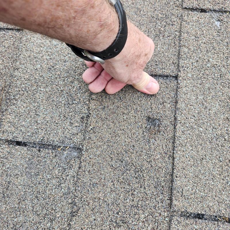 Asphalt roof shingle with hail damage inspection in Austin
