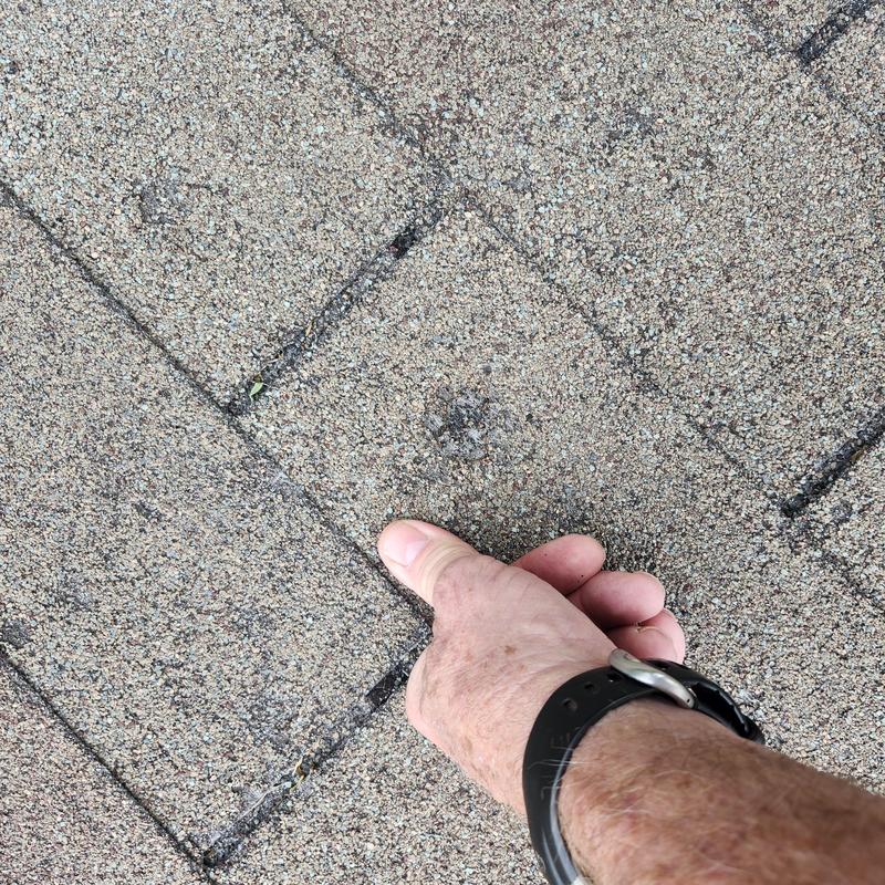 Hail-damaged asphalt roof shingle close-up inspection