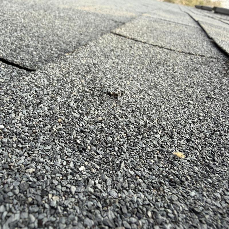 Asphalt shingles with minor surface damage on roof