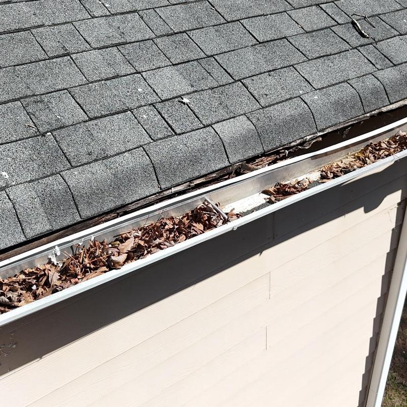 Asphalt shingles with damaged decking near clogged gutter