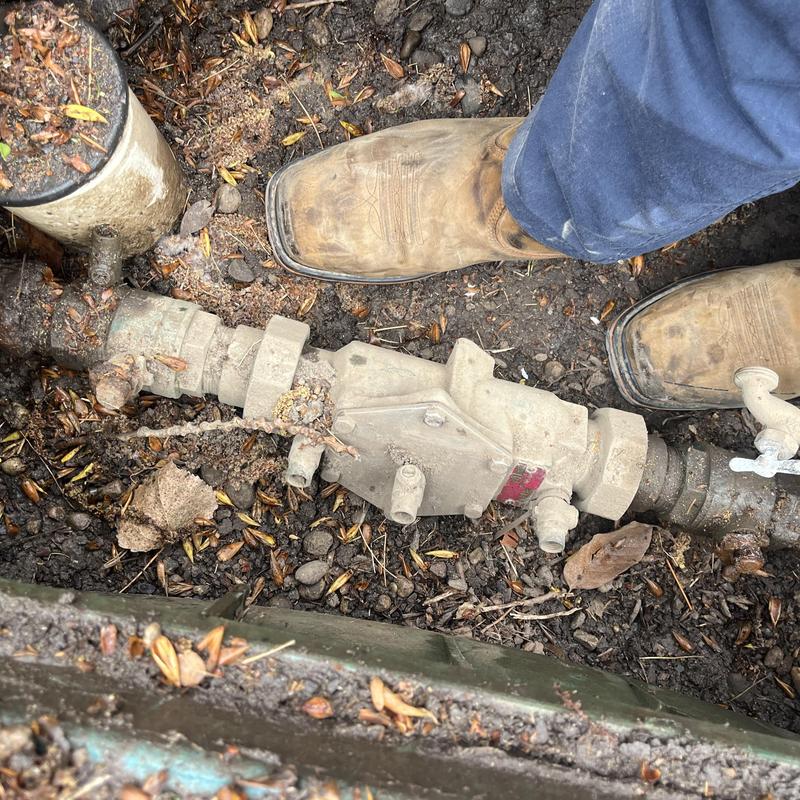 Backflow assembly and valve with rusted handles