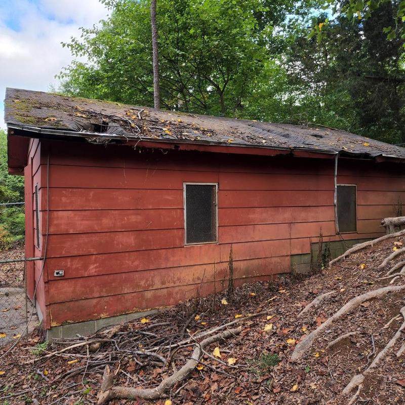 Back garage shingle roof with extensive decking damage