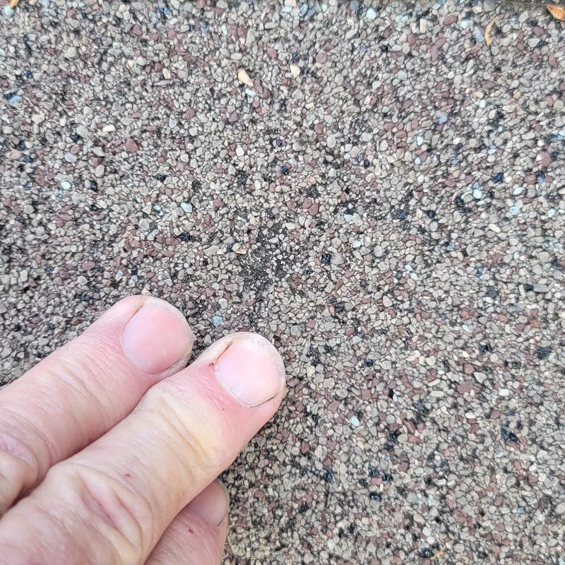 Asphalt shingle roof with hail damage granule loss