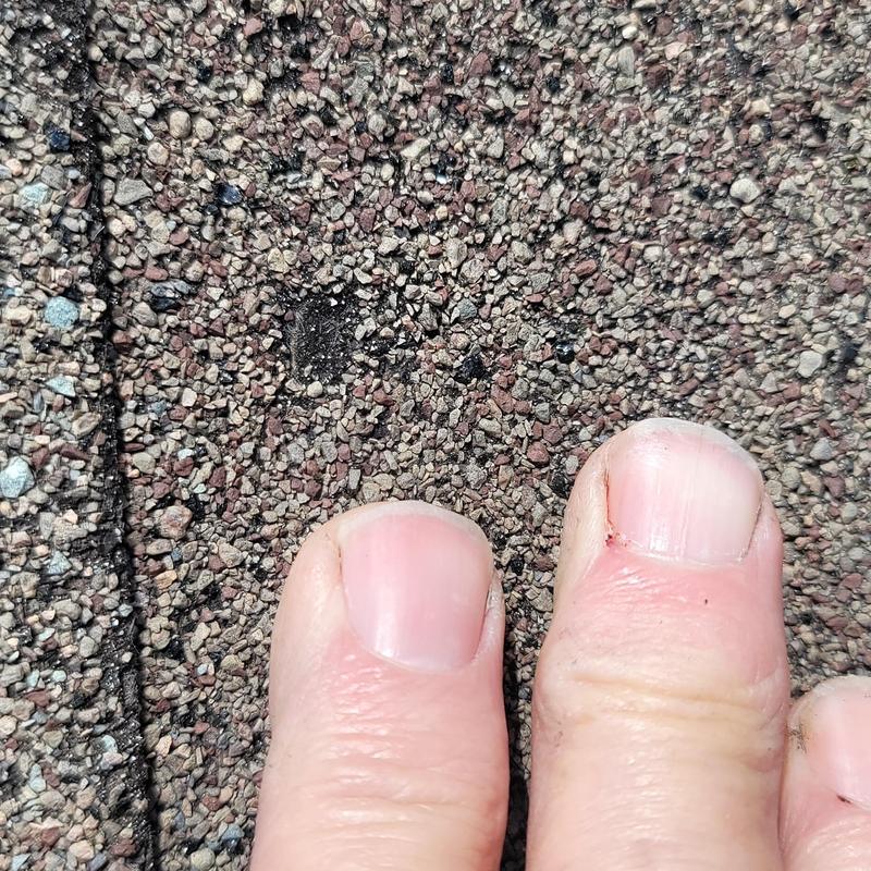 Asphalt shingle hail damage close-up with fingers for scale