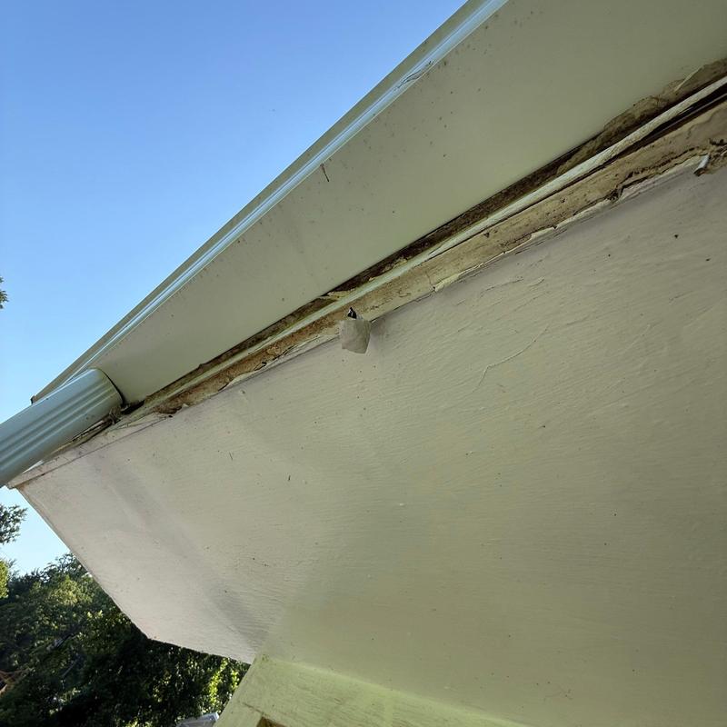 Gutter system with damaged soffit and fascia panels