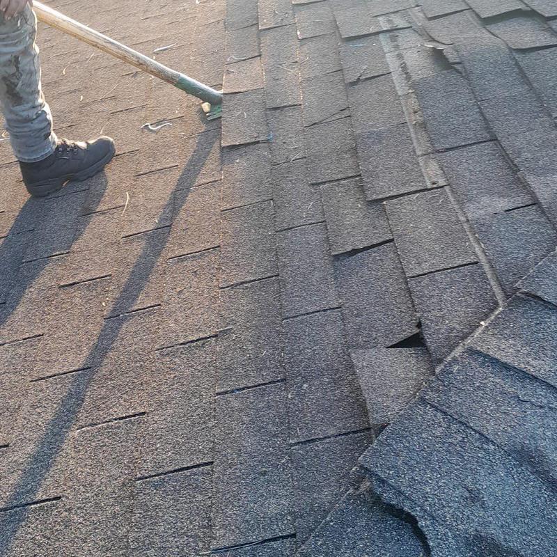 Shingle roof tearing off for replacement in Ft. Myers