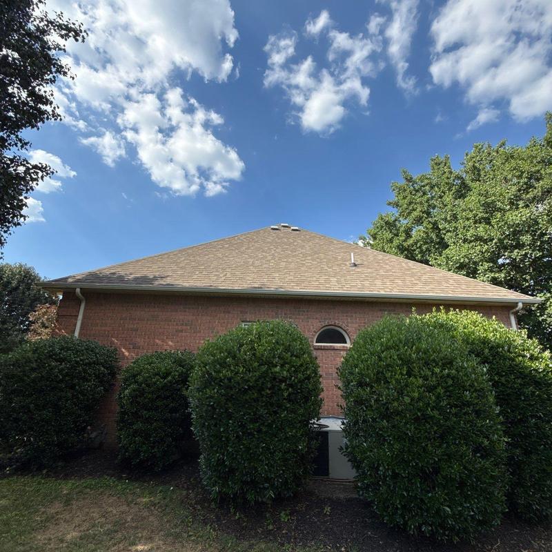 Asphalt shingle roof with clear sky and surrounding greenery