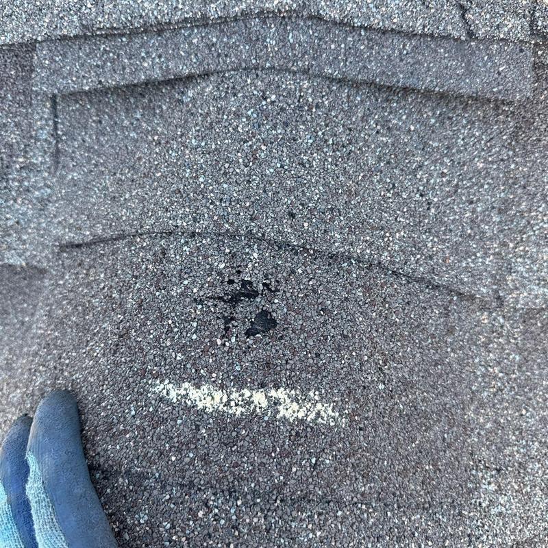Roof shingle hail damage with granule loss and marking