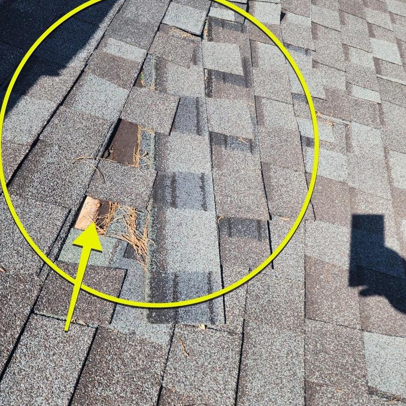 Shingle roof with storm damage and missing granules