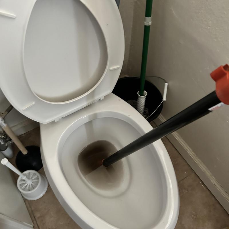 Toilet bowl clog clearing with plumbing snake tool