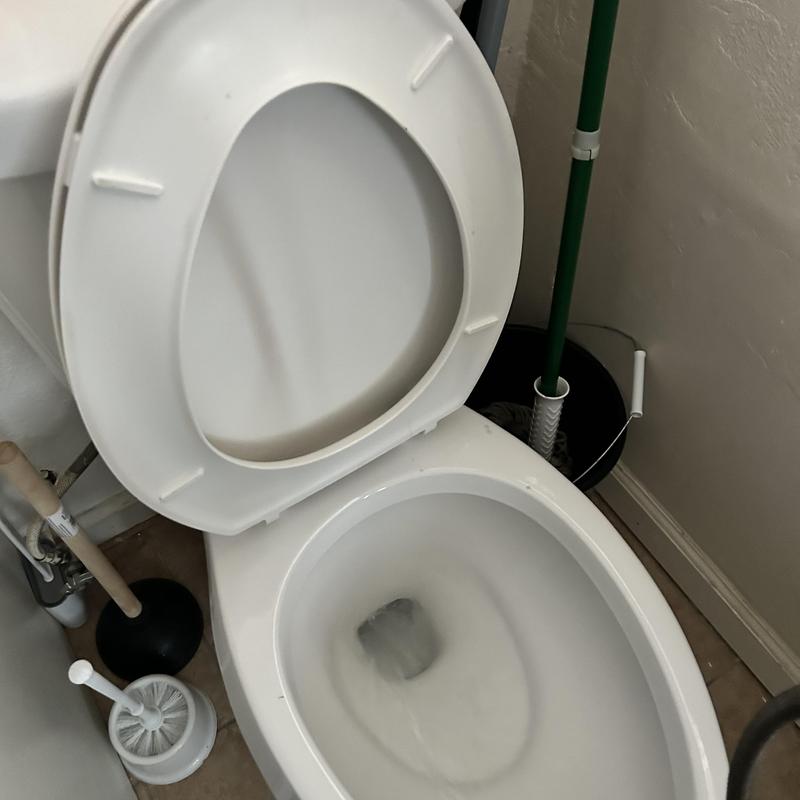 Toilet flushing after clog cleared with snake tool