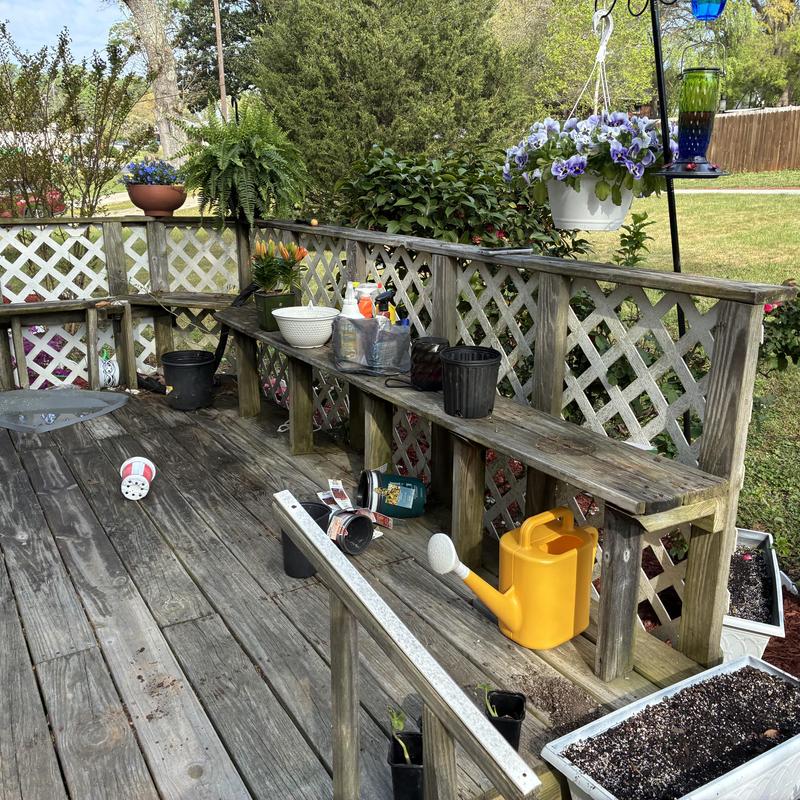 Wooden front porch decking and railing with plants