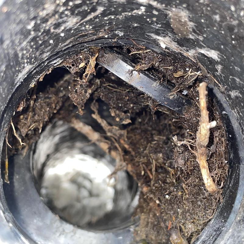 Drain pipe clogged with roots and debris inside