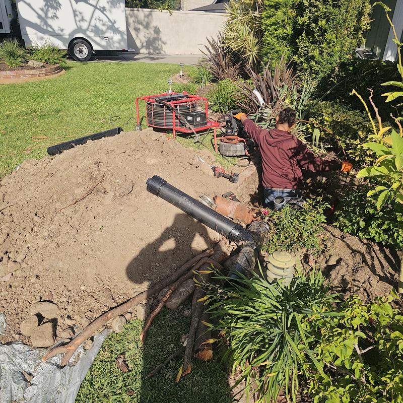 Sewer line with root intrusion and trenchless repair setup