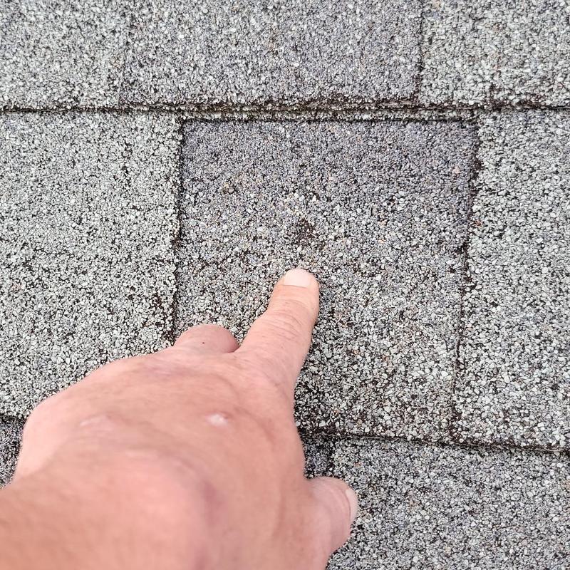 Asphalt roof shingle with hail damage inspection finger-pointing