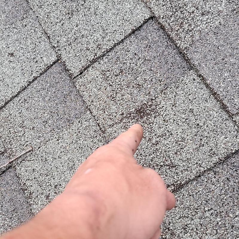 Roof shingles with hail damage and inspection finger