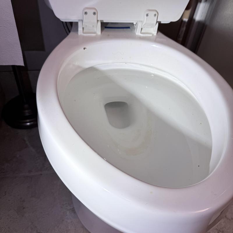 Toilet bowl clog cleared through flange in Somerset, MA Toilet bowl clog cleared through flange in Somerset, MA