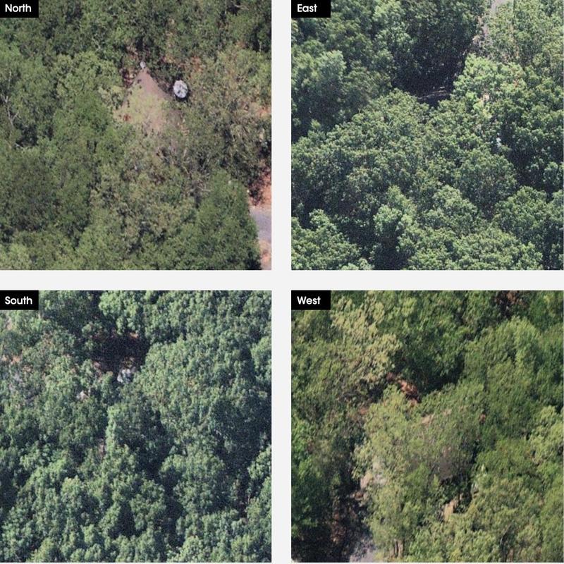 Tree canopy aerial views from north, east, south, and west directions Tree canopy aerial views from north, east, south, and west directions