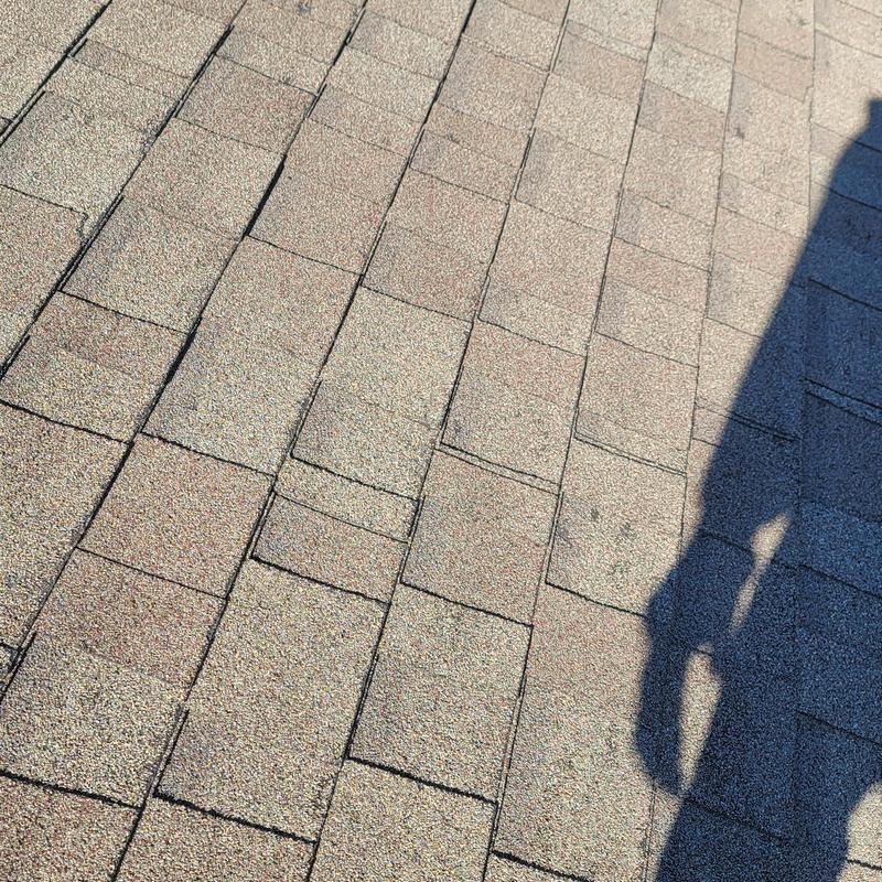 Asphalt roof shingles with visible hail damage